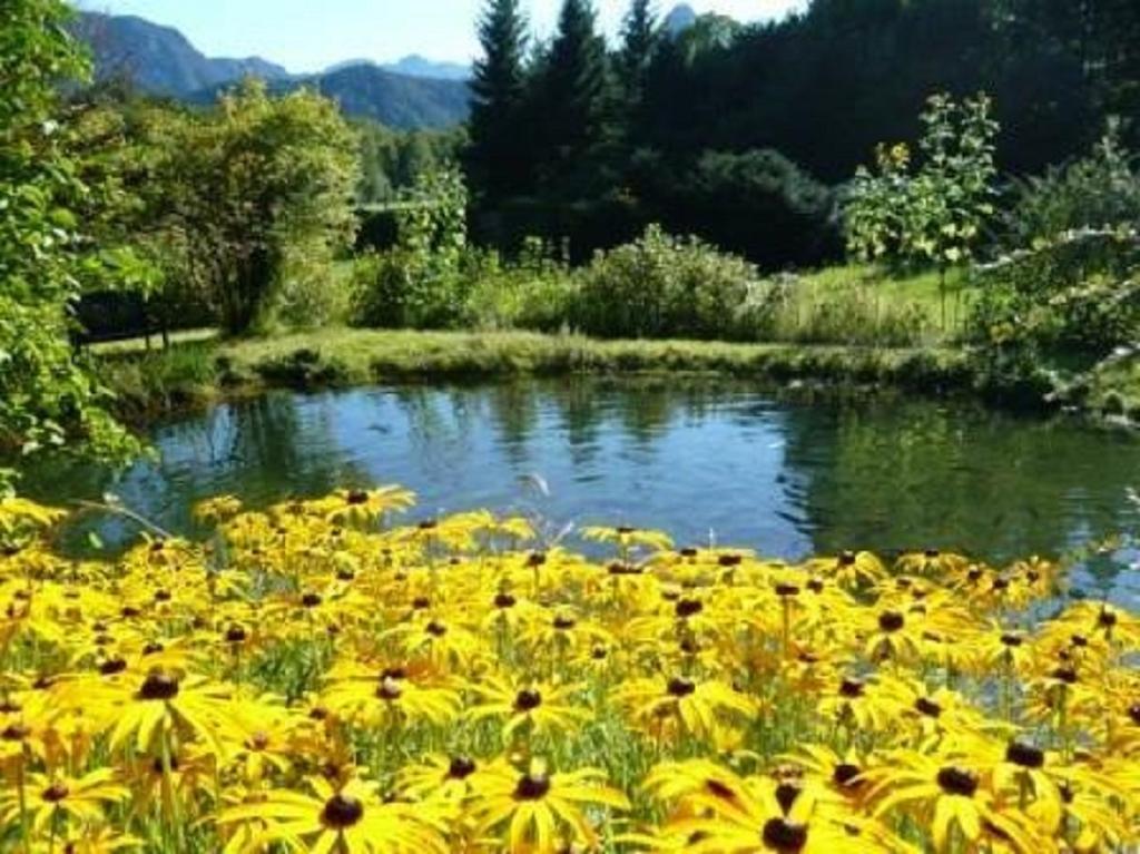 Ferienwohnungen Quellenhof Bad Reichenhall Exteriör bild